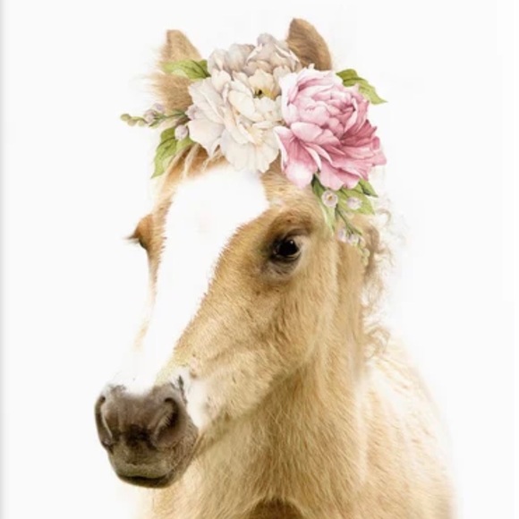 Meet your Posher, Shannon - Picture 1 of 1